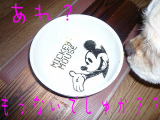 うつわ.jpg