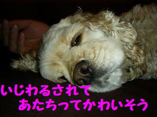 いじいじ・・
