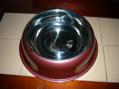 P1000252.jpg