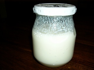 P1000339.jpg